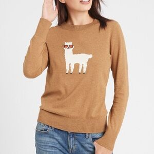 Banana Republic Brown Llama Sweater